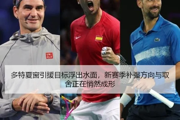 多特夏窗引援目标浮出水面，新赛季补强方向与取舍正在悄然成形 | kaiyun